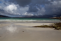 Harris