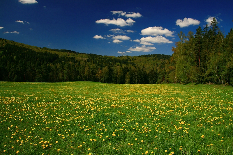 UMAVSK LOUKA - Hanka Kuerov