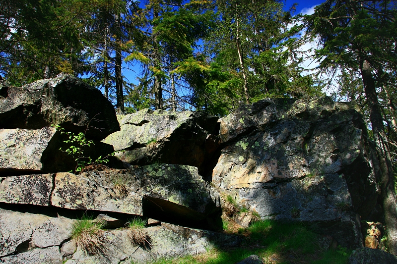 SKALNÍ SRUB - Hanka Kučerová