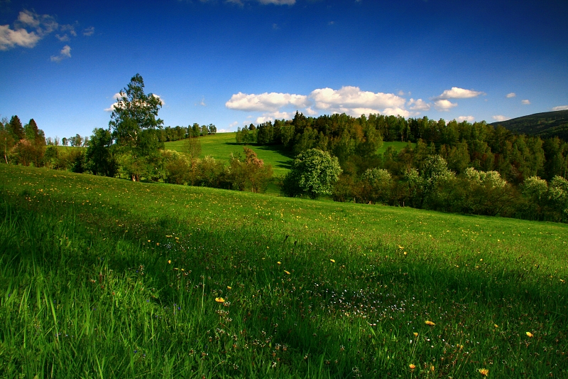 DO KAŠPERSKÝCH HOR - Hanka Kučerová