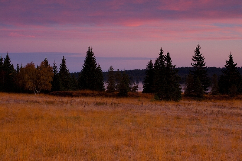 SVÍTÁNÍ NAD RAŠELINIŠTĚM - Hanka Kučerová